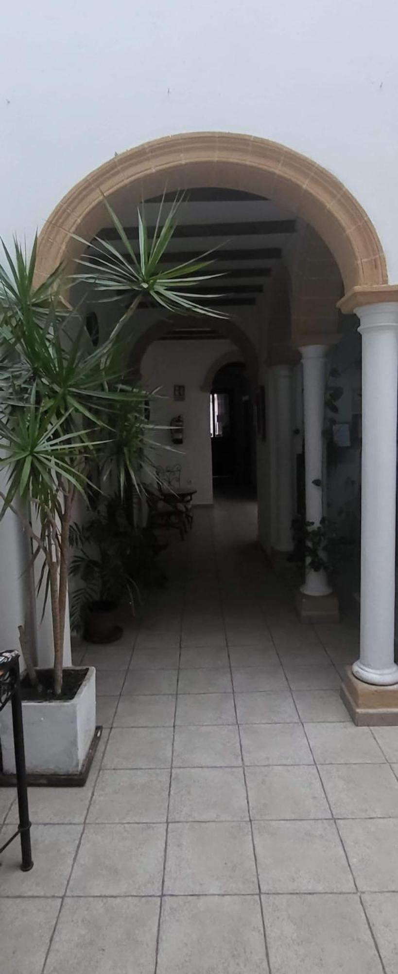 Hostal Fenix Jerez de la Frontera Dış mekan fotoğraf