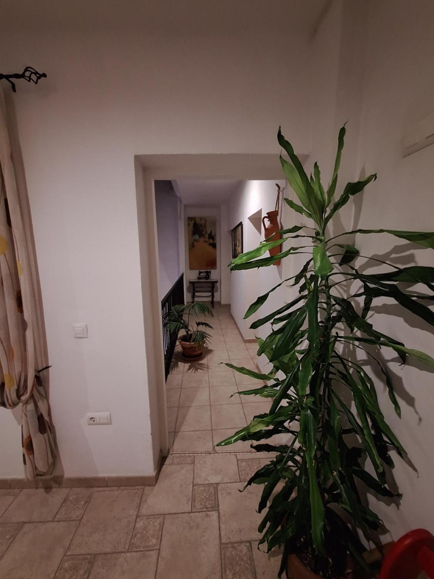 Hostal Fenix Jerez de la Frontera Dış mekan fotoğraf